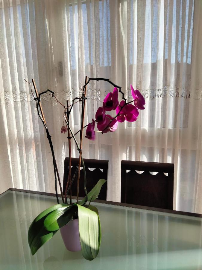 Gran Familia Apartment Santander Ngoại thất bức ảnh